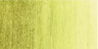 Olive yellow 15