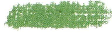 Sap Green light 088