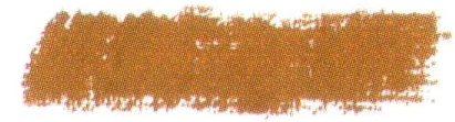 Earth Brown 243