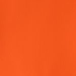 Orange Lake Light