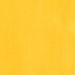 Cadmium Yellow Light Hue