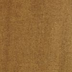 Transparent Raw Umber