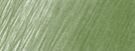 167 Permanent green olive