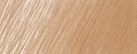 180 Raw umber