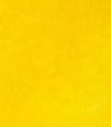 Griffin Alkyd 37ml Cadmium Yellow Light Hue