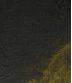 Griffin Alkyd 37ml Olive green