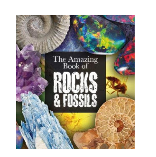The Amazing Book Of Rocks & Fossils 