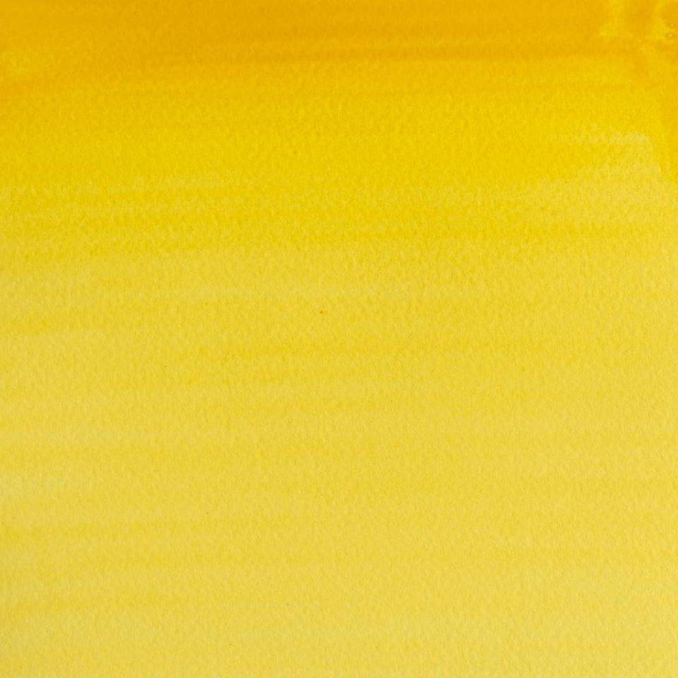 Cadmium Yellow Pale Hue 