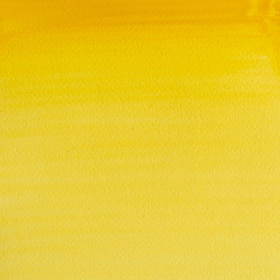 Cadmium Yellow Pale Hue