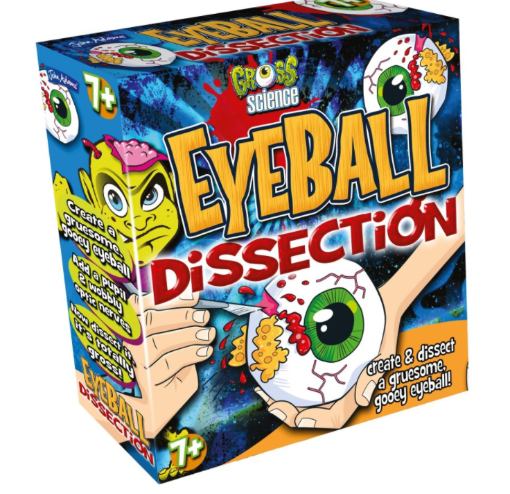 Gross science eyeball dissec