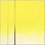 Cadmium Yellow Primrose