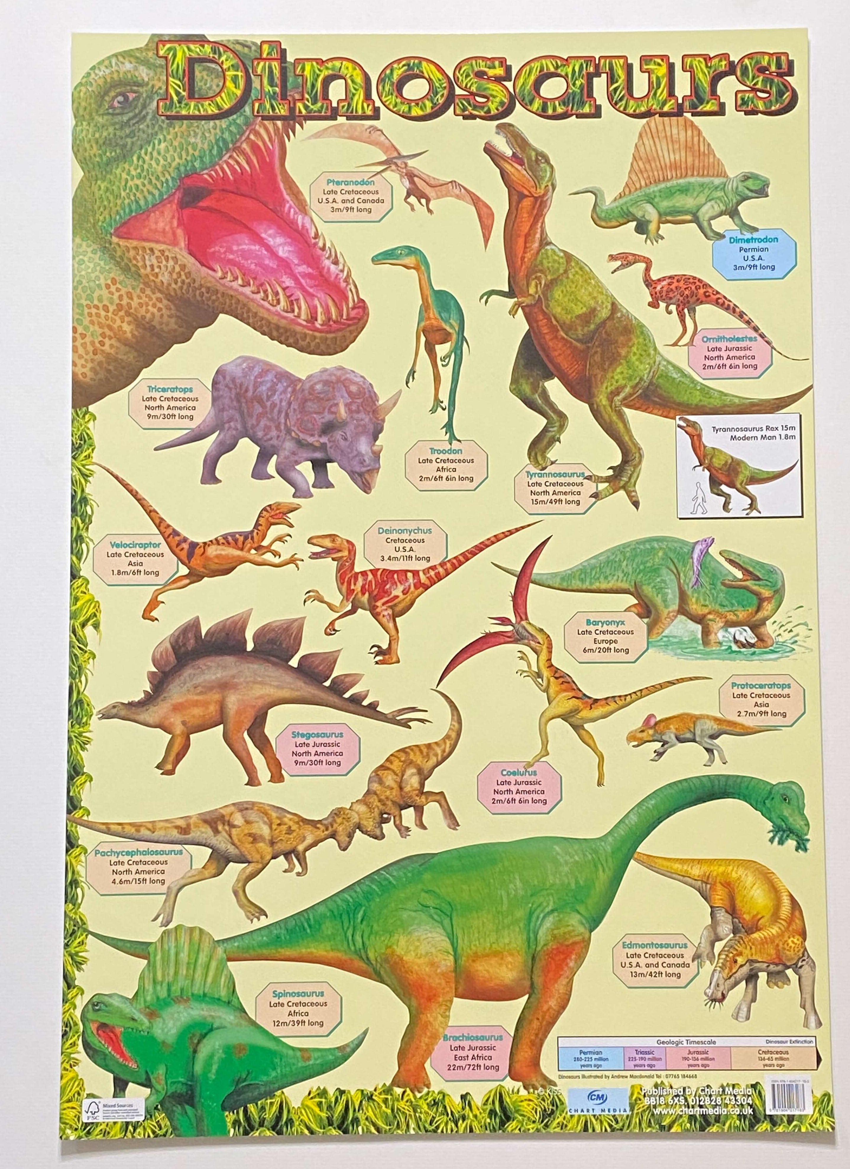 A2 Wipe Clean "Dinosaurs" Chart 